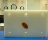 超高分子量聚乙烯UHMW-PE耐磨塊塑料耐磨好